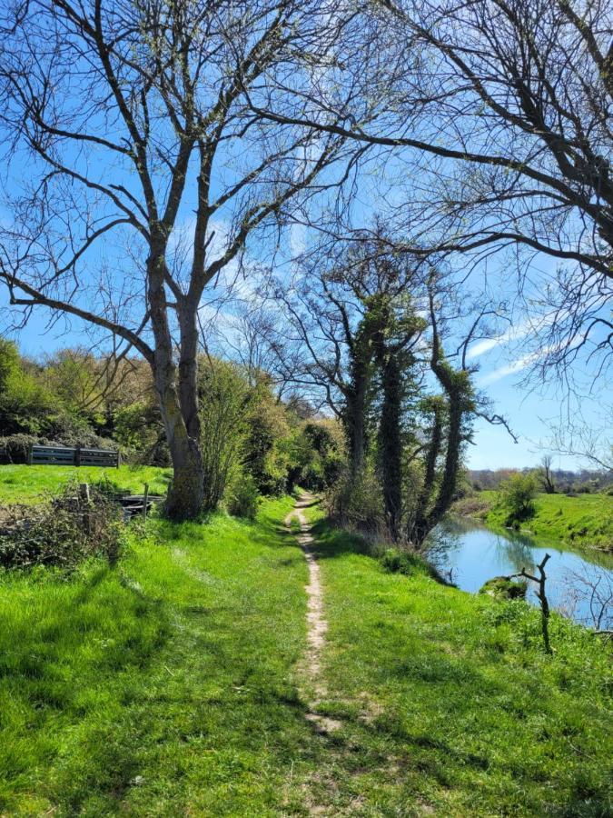 Les Dryades Riviere Et Mer Sainte-Marguerite  外观 照片